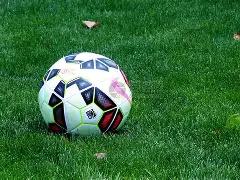 商家疑花,万请汪涵带,退款率高至,米兰体育官网,MILAN,Sports,足球直播,篮球赛事,体育高清,NBA直播