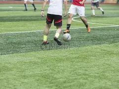 薪火续燃展,全运风采,全民体育开,米兰体育官网,MILAN,Sports,足球直播,篮球赛事,体育高清,NBA直播