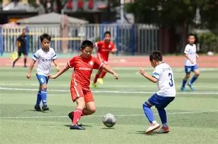 速查家中物,超标,倍的一级致,米兰体育官网,MILAN,Sports,足球直播,篮球赛事,体育高清,NBA直播