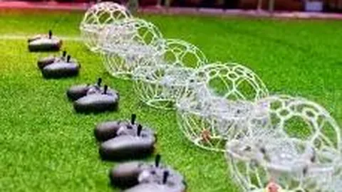 米兰体育 资讯 101424 nov